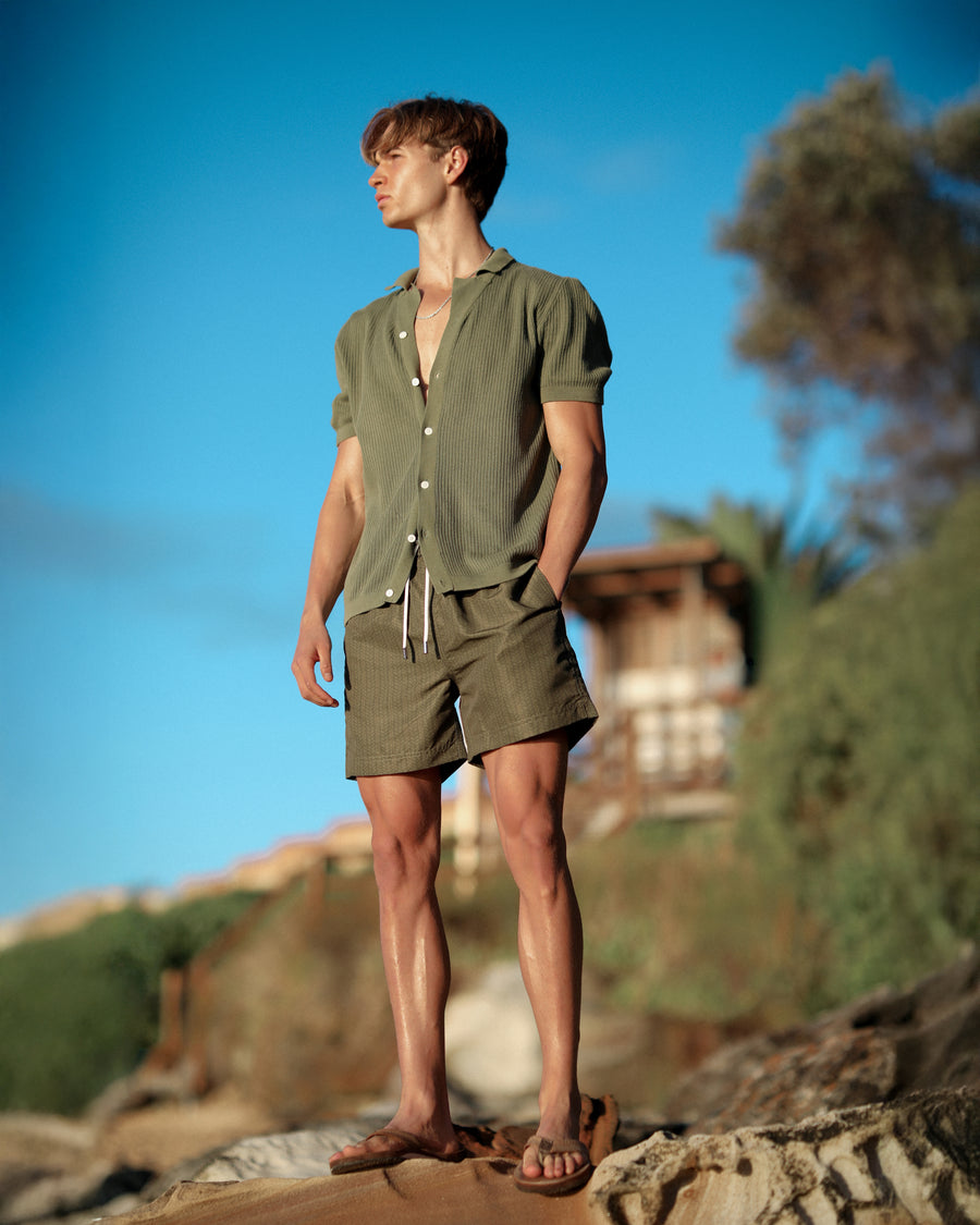 Olive & Moss Print